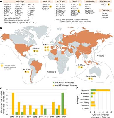 Global Advances in Tomato Virome Research: Current Status and the Impact of High-Throughput Sequencing